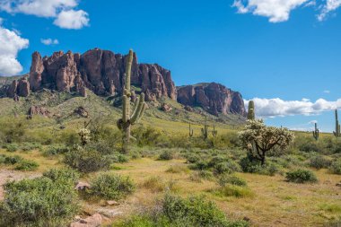 Kayıp Hollandalı SP, Arizona 'da doğa manzarası