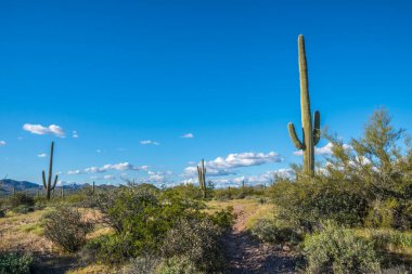Kayıp Hollandalı SP, Arizona 'da doğa manzarası