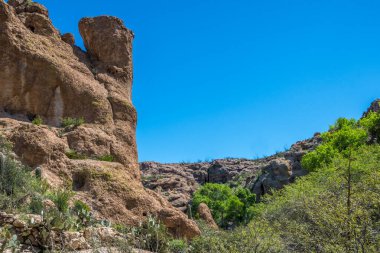 Boyce Thompson Botanik Bahçesi SP, Arizona 'da doğa manzarası