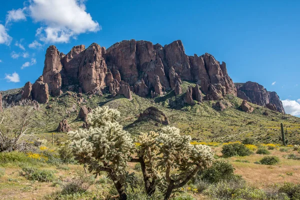 Vue Imprenable Sur Nature Lost Dutchman Arizona — Photo