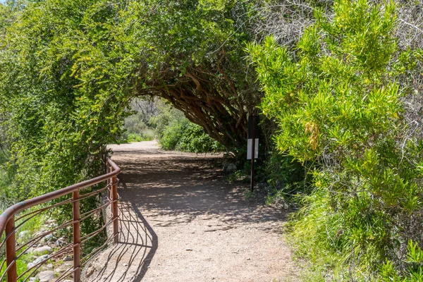 Vue Sur Nature Boyce Thompson Arboretum Arizona — Photo