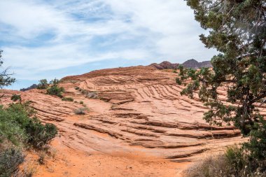 Utah 'taki Kar Kanyonu Eyalet Parkı' na bakan doğa manzarası