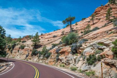 Utah 'taki Zion Ulusal Parkı' na giden uzun bir yol.