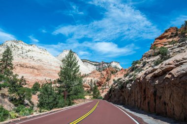 Utah 'taki Zion Ulusal Parkı' na giden uzun bir yol.