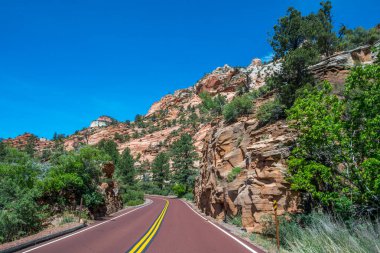 Utah 'taki Zion Ulusal Parkı' na giden uzun bir yol.