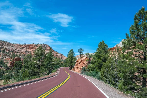 Utah Taki Zion Ulusal Parkı Giden Uzun Bir Yol — Stok fotoğraf