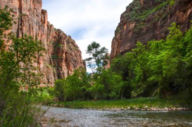 Utah 'taki Zion Ulusal Parkı' na bakan doğa manzarası.