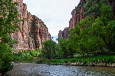 Utah 'taki Zion Ulusal Parkı' na bakan doğa manzarası.