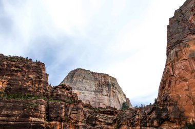 Utah 'taki Zion Ulusal Parkı' na bakan doğa manzarası.