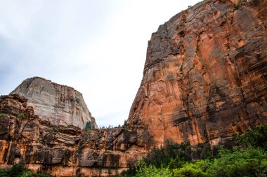 Utah 'taki Zion Ulusal Parkı' na bakan doğa manzarası.