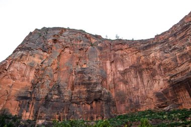 Utah 'taki Zion Ulusal Parkı' na bakan doğa manzarası.