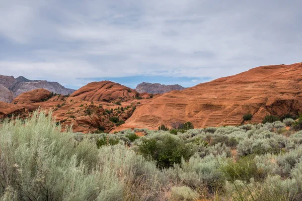 Una Vista Sulla Natura Nel Snow Canyon State Park Utah — Foto Stock