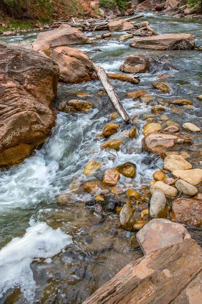 Estrecho Arroyo Agua Parque Nacional Zion Utah —  Fotos de Stock