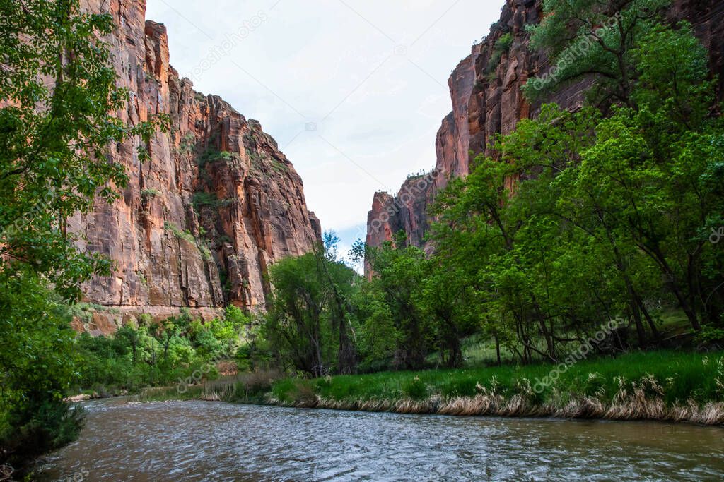 An overlooking view of nature in Zion National Park, Utah