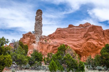 Utah, Kodachrome Havzası 'ndaki kum borusu.