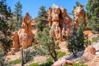 Utah 'taki Dixie Ulusal Ormanı' nın manzarası.