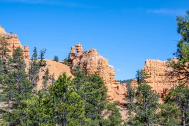 Utah 'taki Dixie Ulusal Ormanı' nın manzarası.