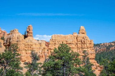 Utah 'taki Dixie Ulusal Ormanı' nın manzarası.