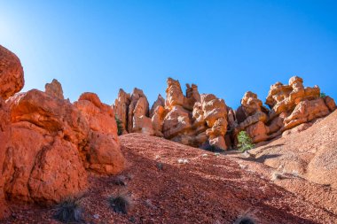 Utah 'taki Dixie Ulusal Ormanı' nın manzarası.