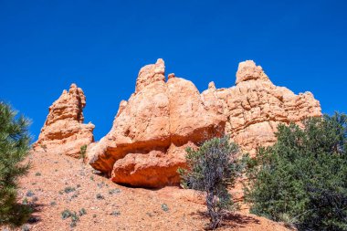 Utah 'taki Dixie Ulusal Ormanı' nın manzarası.