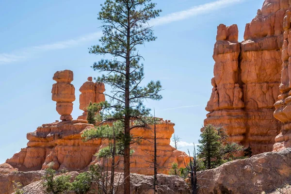 Overlooking View Nature Dixie National Forest Utah — Stock Photo, Image