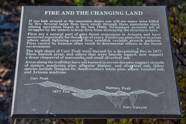 Coronado Ulusal Ormanı, AZ, ABD - 12 Kasım 2019: Yangın ve Değişen Topraklar