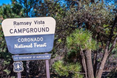 Coronado Ulusal Ormanı, AZ, ABD - 12 Kasım 2019: Ormanın giriş noktasında bir karşılama tabelası