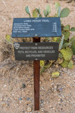 Saguaro NP, AZ, ABD - 16 Kasım 2019: Manzaralı hedefine giden farklı deneyler