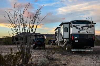 Joshua Tree NP, CA, ABD - 21 Ocak 2020: Karavanımızın büyüleyici görüntüsünün tadını çıkarmak
