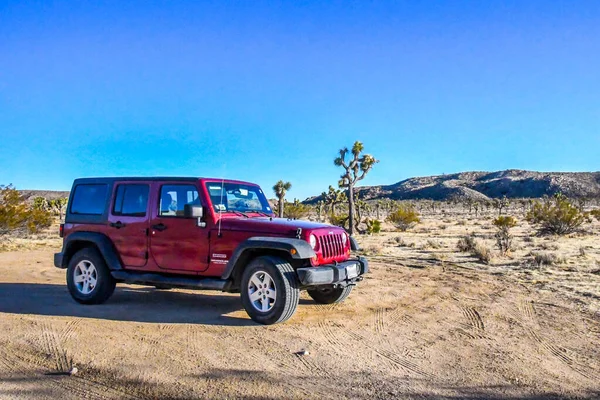 Joshua Tree NP, CA, ABD - 21 Ocak 2020: Koruma parkı boyunca park etmiş bir Jeep Wrangler Sınırsız Spor