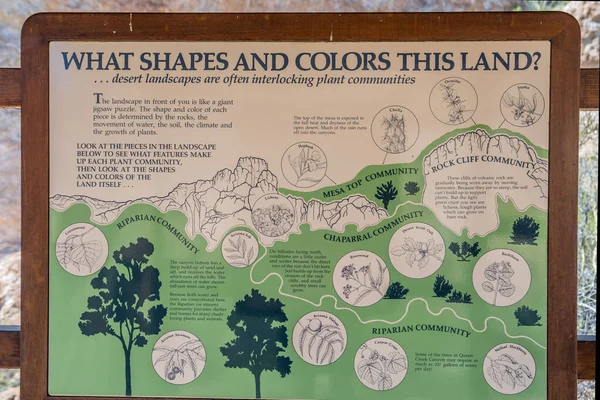 Boyce Thompson Arboretum Usa Marzo 2020 Quali Forme Colori Questa — Foto Stock