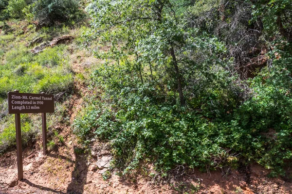 Zion Canyon Mei 2020 Zion Carmel Tunnel — Stockfoto