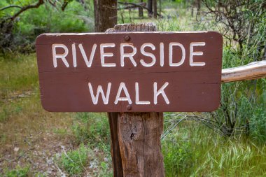 Zion NP, UT, ABD - 16 Mayıs 2020: Riverside Yürüyüş Yolu