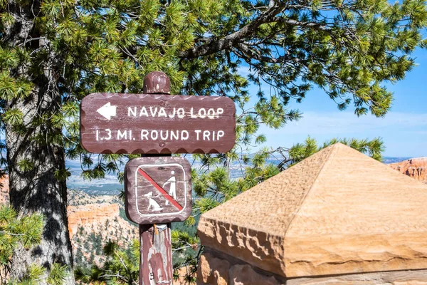 Bryce Canyon Usa Maggio 2020 Navajo Loop Trail — Foto Stock