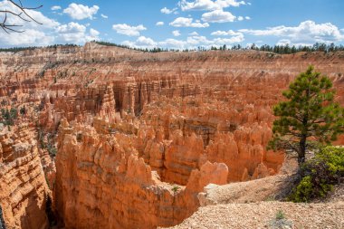 Bryce Canyon Ulusal Parkı, Utah 'ta Kızıl Kayalar' ın doğal bir kaya oluşumu.