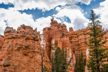 Bryce Canyon Ulusal Parkı, Utah 'ta Kızıl Kayalar' ın doğal bir kaya oluşumu.