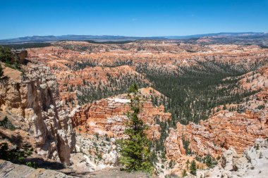Bryce Canyon Ulusal Parkı, Utah 'ta Kızıl Kayalar' ın doğal bir kaya oluşumu.