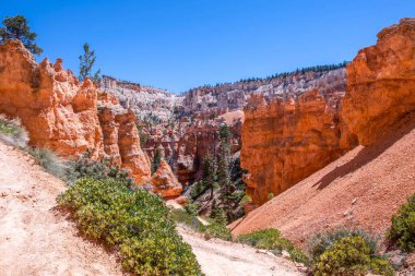 Bryce Canyon Ulusal Parkı, Utah 'ta Kızıl Kayalar' ın doğal bir kaya oluşumu.