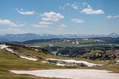 Custer Ulusal Ormanı, Montana 'da doğa manzarası
