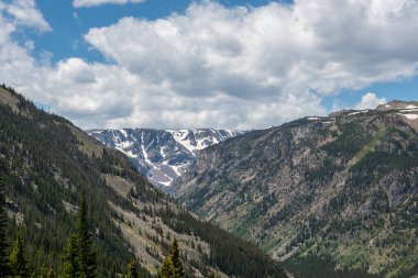 Custer Ulusal Ormanı, Montana 'da doğa manzarası