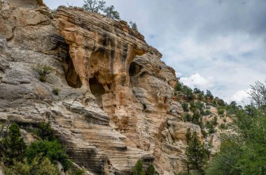 Bryce Canyon Ulusal Parkı, Utah 'ta doğa manzarası