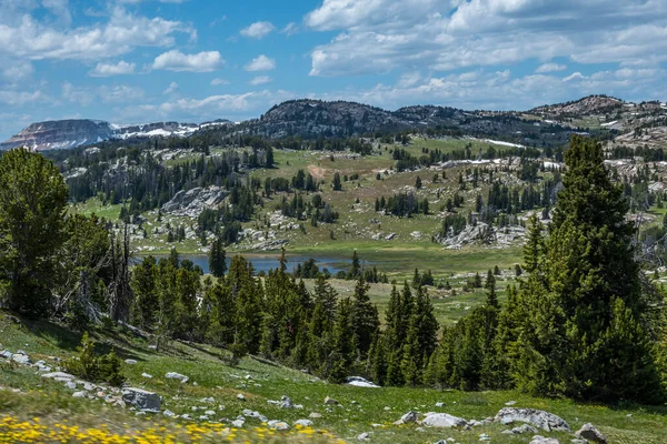 Uma Vista Panorâmica Natureza Floresta Nacional Custer Montana — Fotografia de Stock