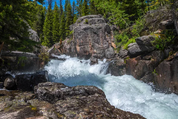 Úzký Potok Vody Custer National Forest Montana — Stock fotografie