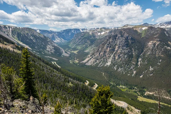 Μια Θέα Στη Φύση Custer National Forest Montana — Φωτογραφία Αρχείου