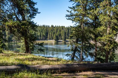 Yellowstone Ulusal Parkı, Wyoming manzarası