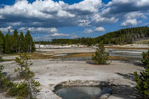 A geyser, steam and water boils from the ground of geothermal areas