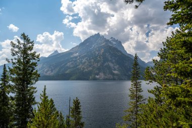 Grand Teton Ulusal Parkı, Wyoming manzarası