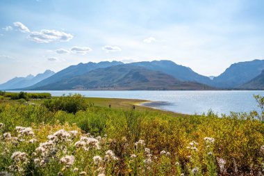 Grand Teton Ulusal Parkı, Wyoming manzarası
