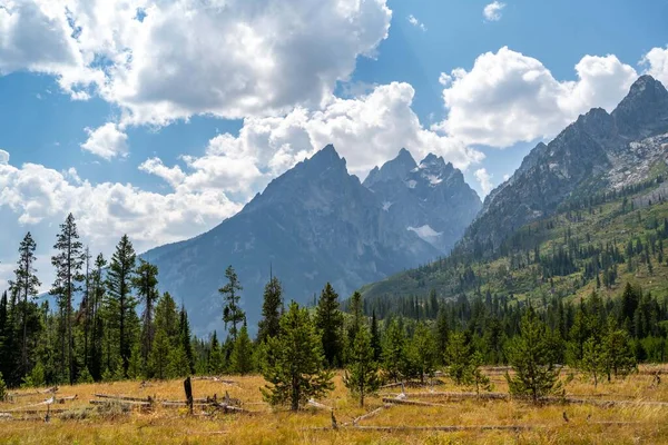 Overlooking Landscape View Grand Teton National Park Wyoming — Stock Photo, Image
