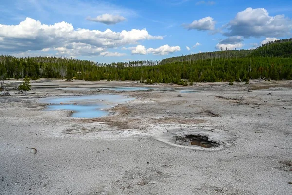 A geyser, steam and water boils from the ground of geothermal areas